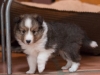 2014-12-20_Ben_and_Jerry-119
