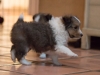 2014-12-20_Ben_and_Jerry-127