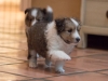 2014-12-20_Ben_and_Jerry-128