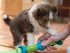 2014-12-20_Ben_and_Jerry-131