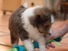 2014-12-20_Ben_and_Jerry-132