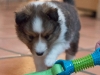 2014-12-20_Ben_and_Jerry-133