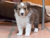 2014-12-20_Ben_and_Jerry-146