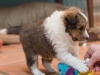 2014-12-20_Ben_and_Jerry-150
