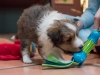 2014-12-20_Ben_and_Jerry-164