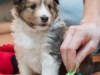 2014-12-20_Ben_and_Jerry-171
