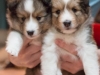 2014-12-20_Ben_and_Jerry-181