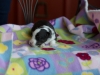 20180429-Tri-Female-2_weeks-02