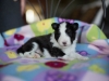 20180505-Tri-Female_3_weeks-03